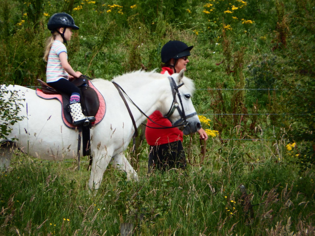 Tomintoul Riding Centre- Day Tours-Tomintoul必去景点