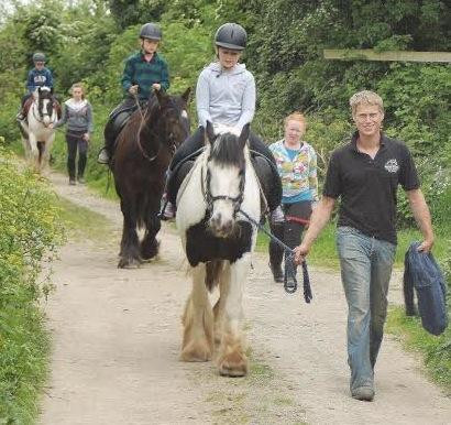 Bergin Equine-Wicklow必去景点