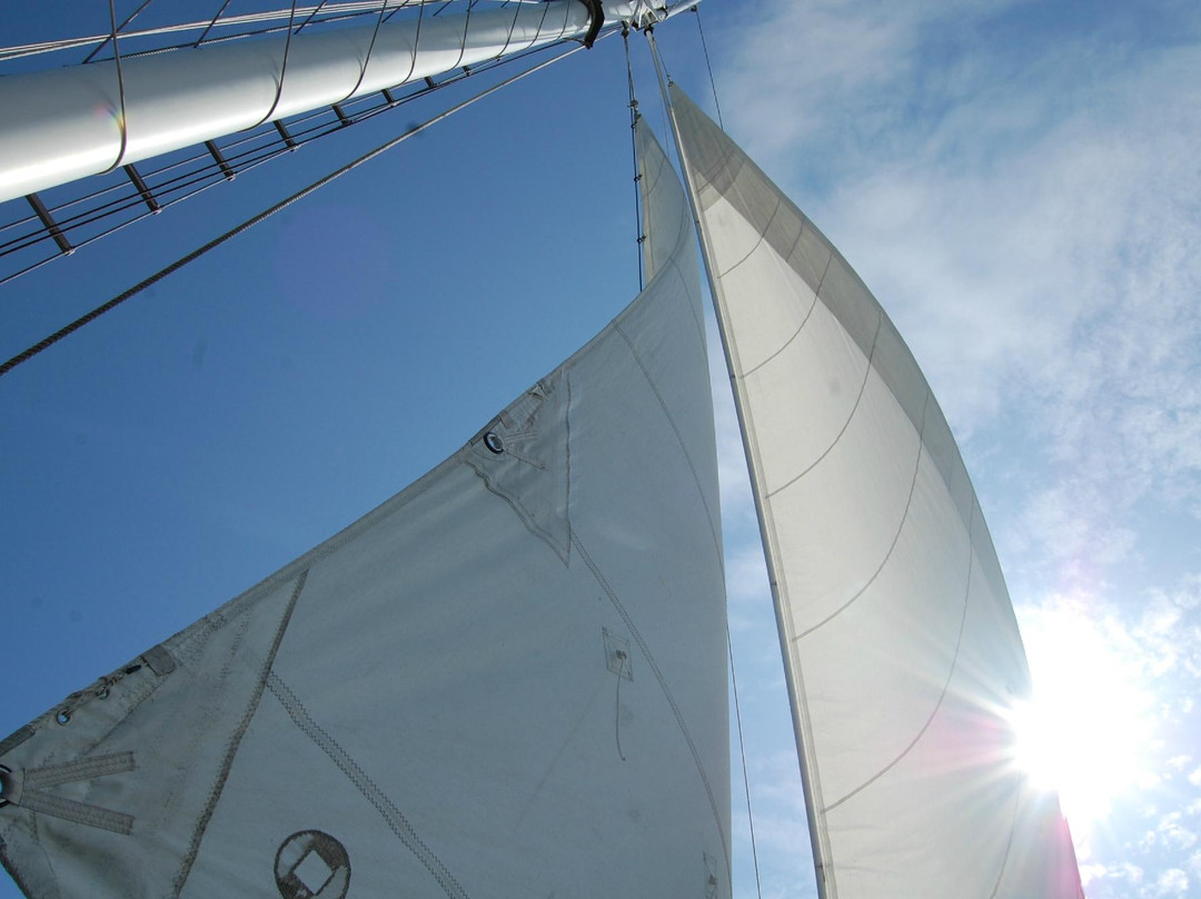 L'Orenda Sailing Tours景点图片