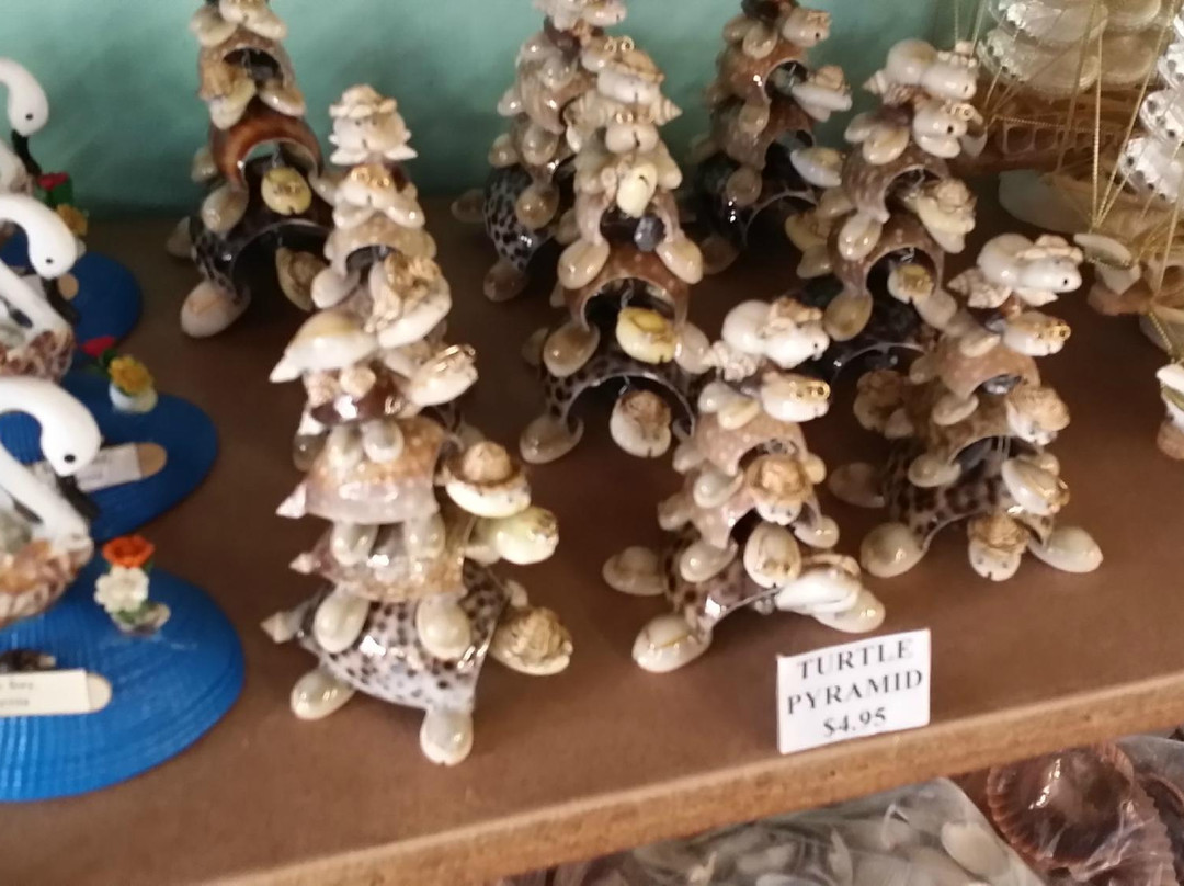 The Shell Shop-莫罗贝必去景点