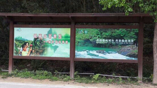 银瓶山森林公园-东莞市必去景点