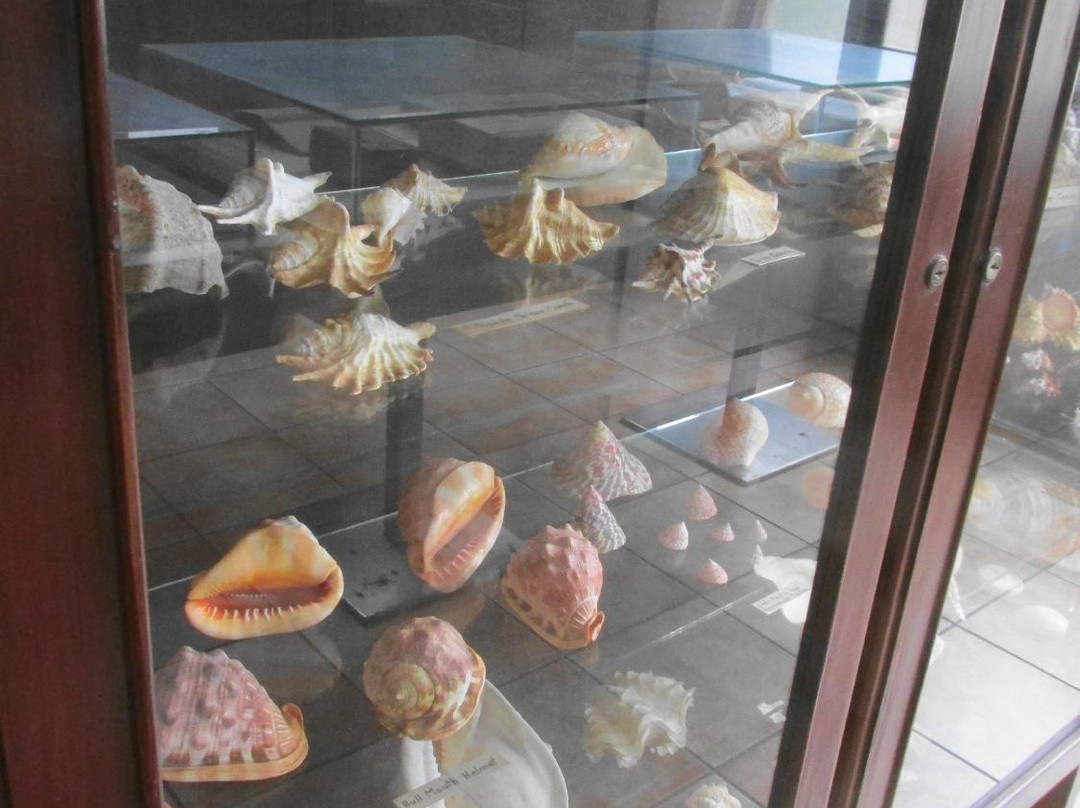 Protestant Church-奥腊涅斯塔德必去景点