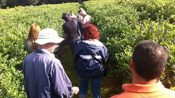 Shady Oak Farm-莱克兰必去景点