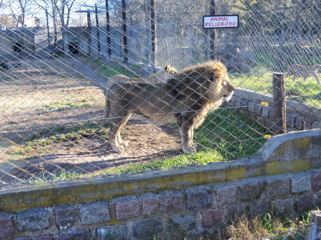 Parque Zoologico La Maxima-Olavarria必去景点