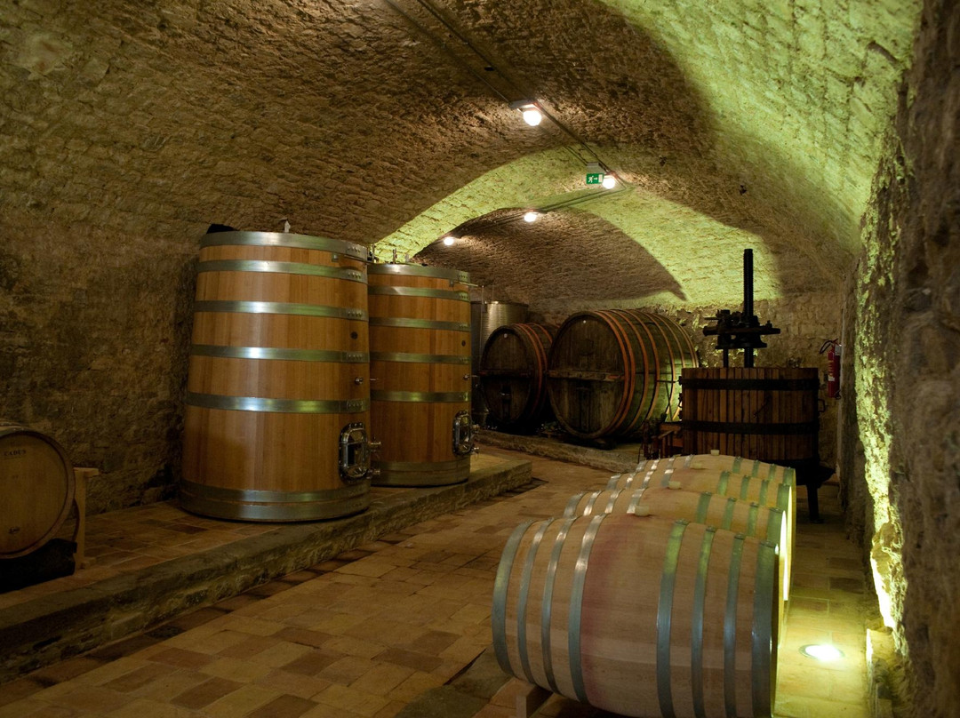 Conti Faina Winery-San Venanzo必去景点