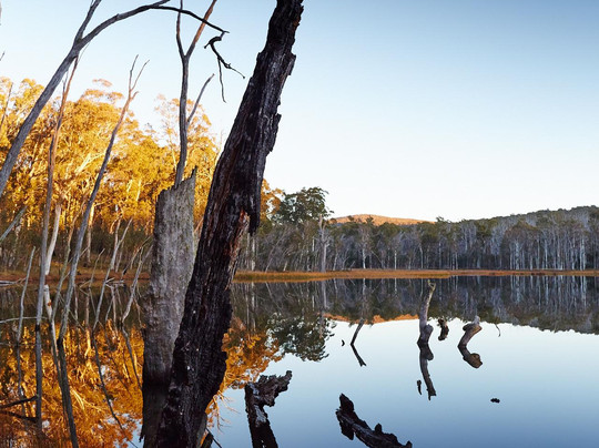 Lake Cobbler-Alpine National Park必去景点