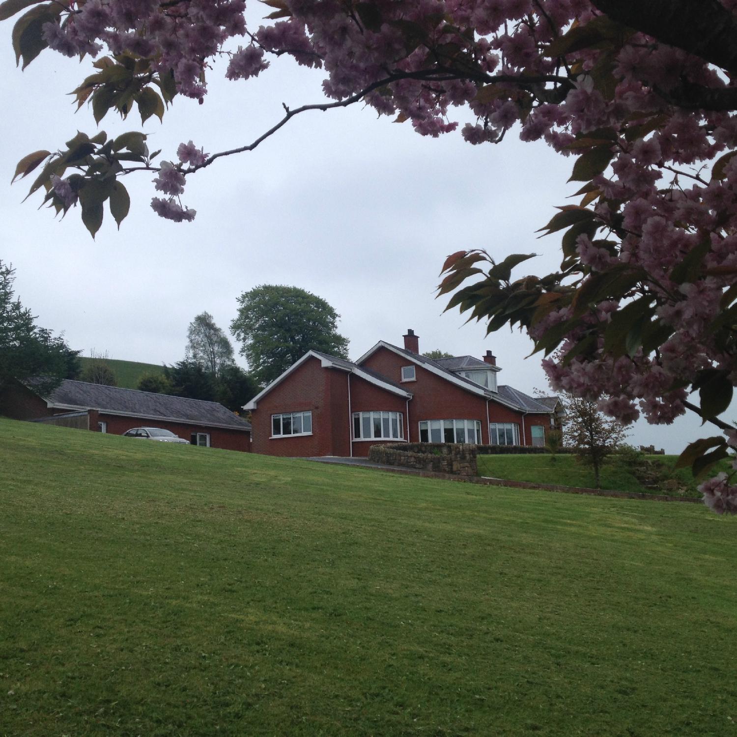 White Hill Country House B&B/Self-Catering-浴室