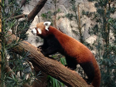 河川生态园-新加坡必去景点