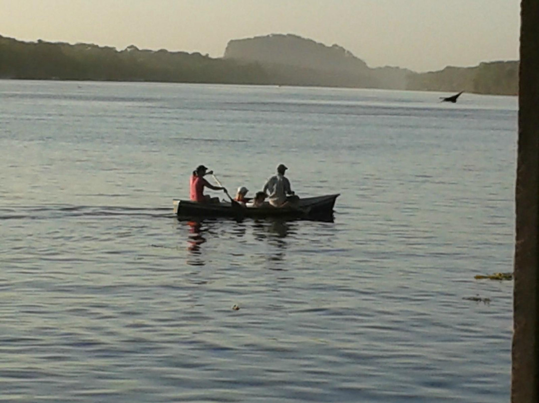 Tortuguero Infocenter Tours景点图片