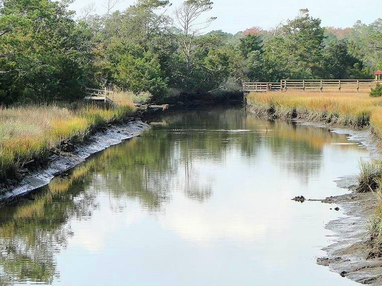 Environmental Overlook Trail景点图片