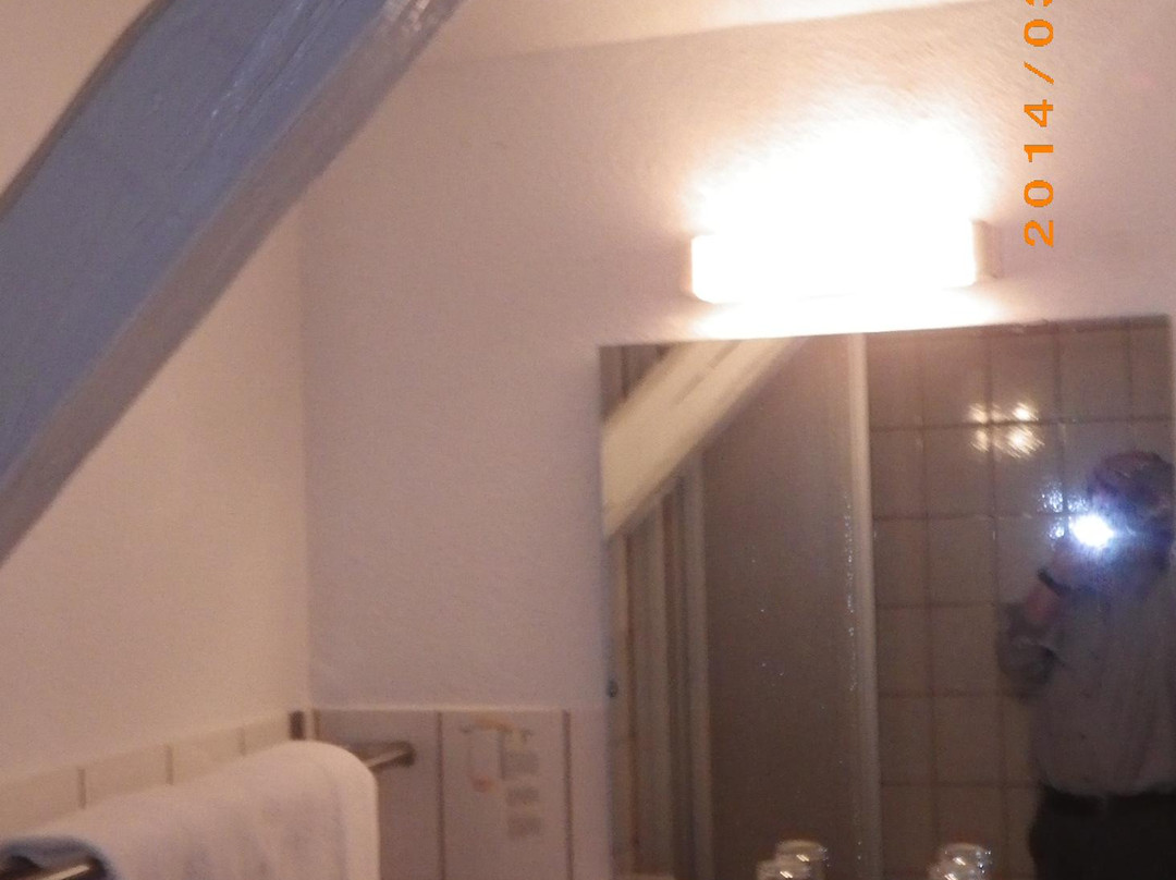Hotel Harzer Hof主图