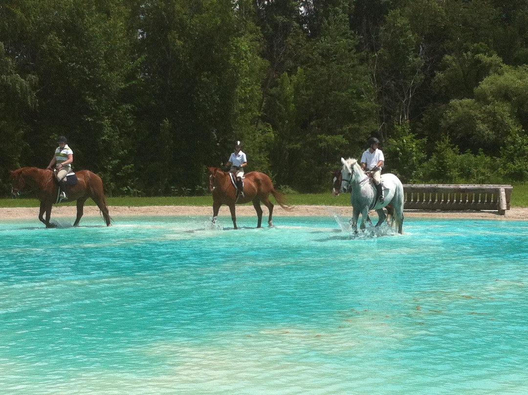 Cedar Run Horse Park-蓝山必去景点