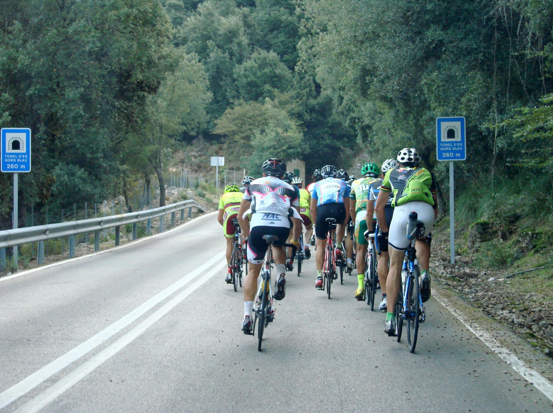 Transtramuntana 4500-埃拉雷纳尔必去景点