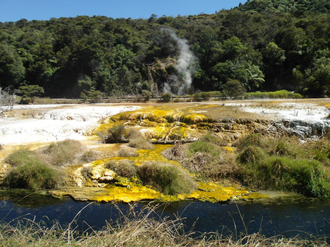 Waimangu Volcanic Valley景点图片