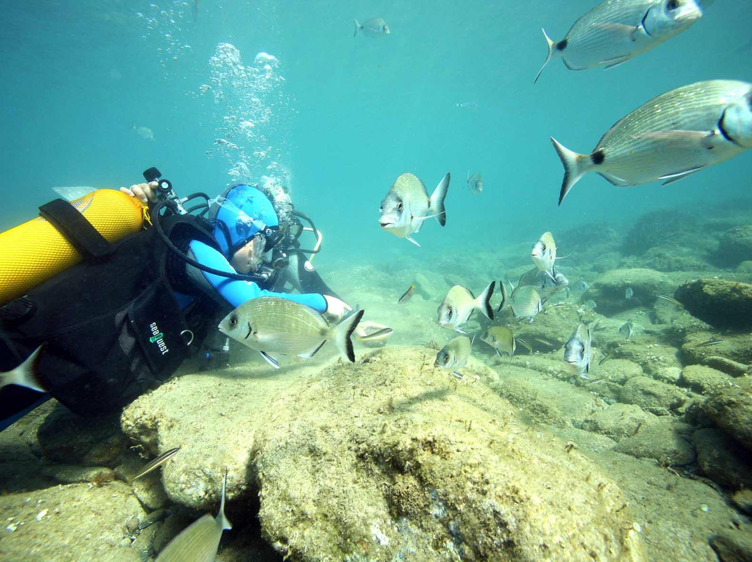 Plongée Cap Cerbère-Cerbere必去景点