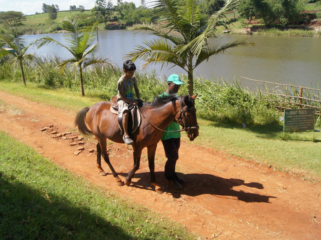 Evergreen Park-奇安波必去景点