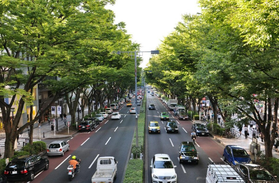 表参道-涩谷区必去景点