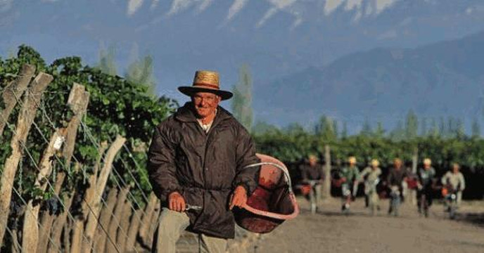 Red Globe Tours-门多萨必去景点