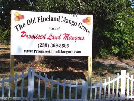 Promised Land Mangoes-Bokeelia必去景点