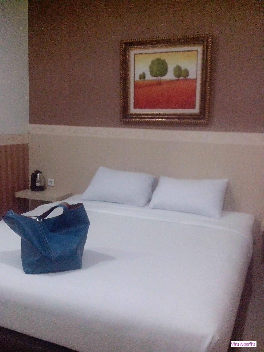 Hotel Qintani-客卧