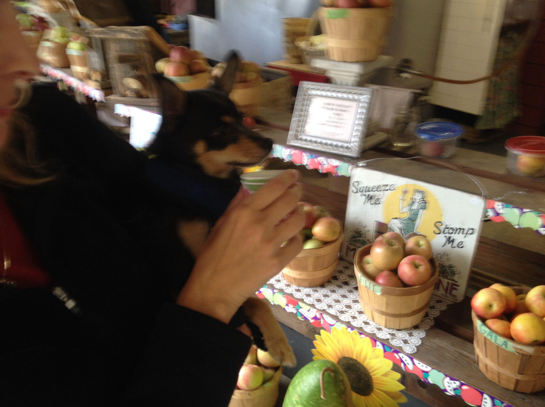 The Old Cider Mill & Applesolutely Gift Shop景点图片
