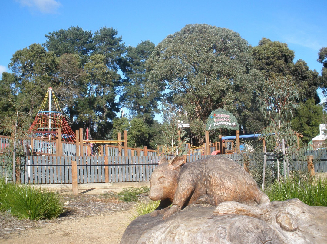 Montrose Community Playground and Recreation Reserve-Montrose必去景点