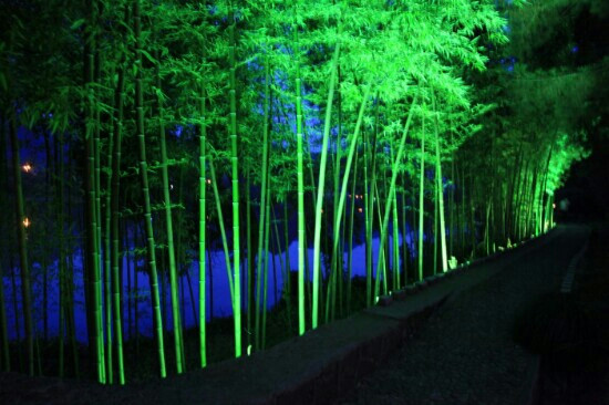 香溢度假村香溢楼主图