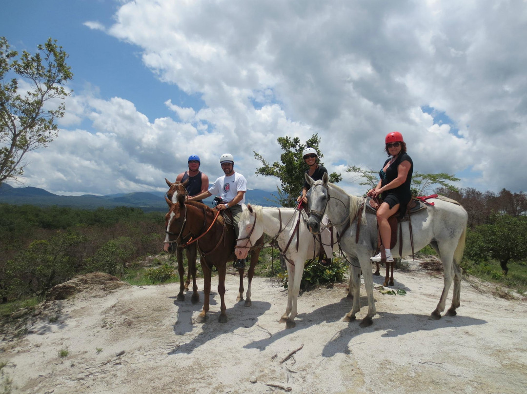 Tamarindo Best Tours景点图片