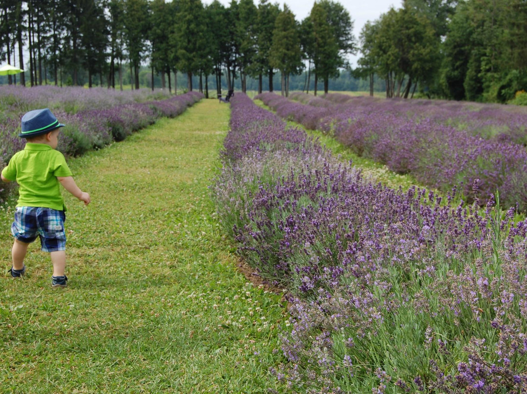La Maison Lavande-Saint-Eustache必去景点