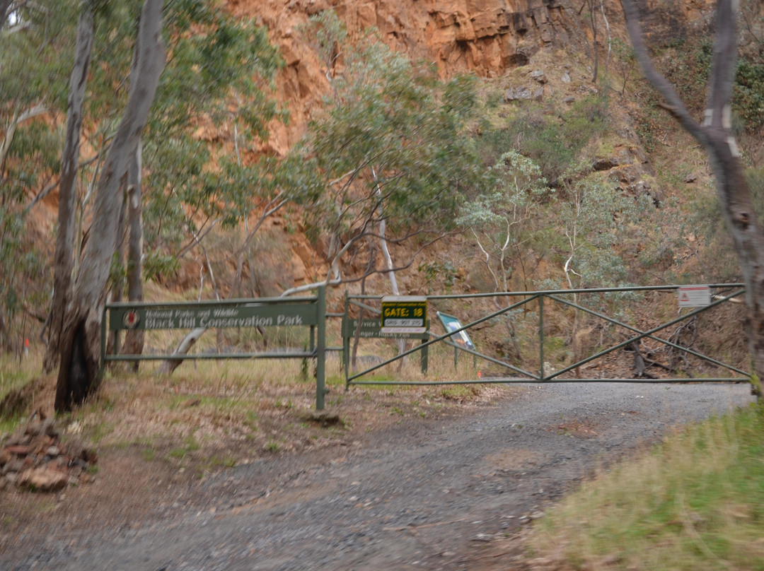 Black Hill Conservation Park-阿德莱德必去景点