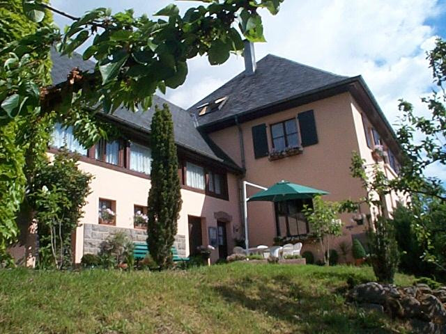 Labaroche酒店住宿-Gites La Montagne Verte