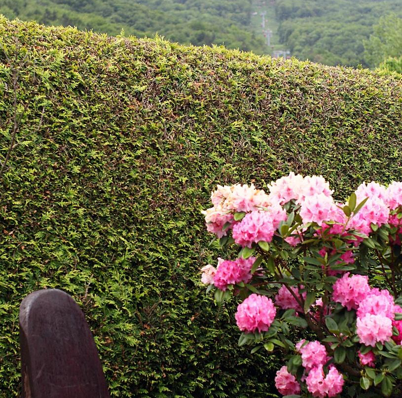 Garni Hotel Milena主图