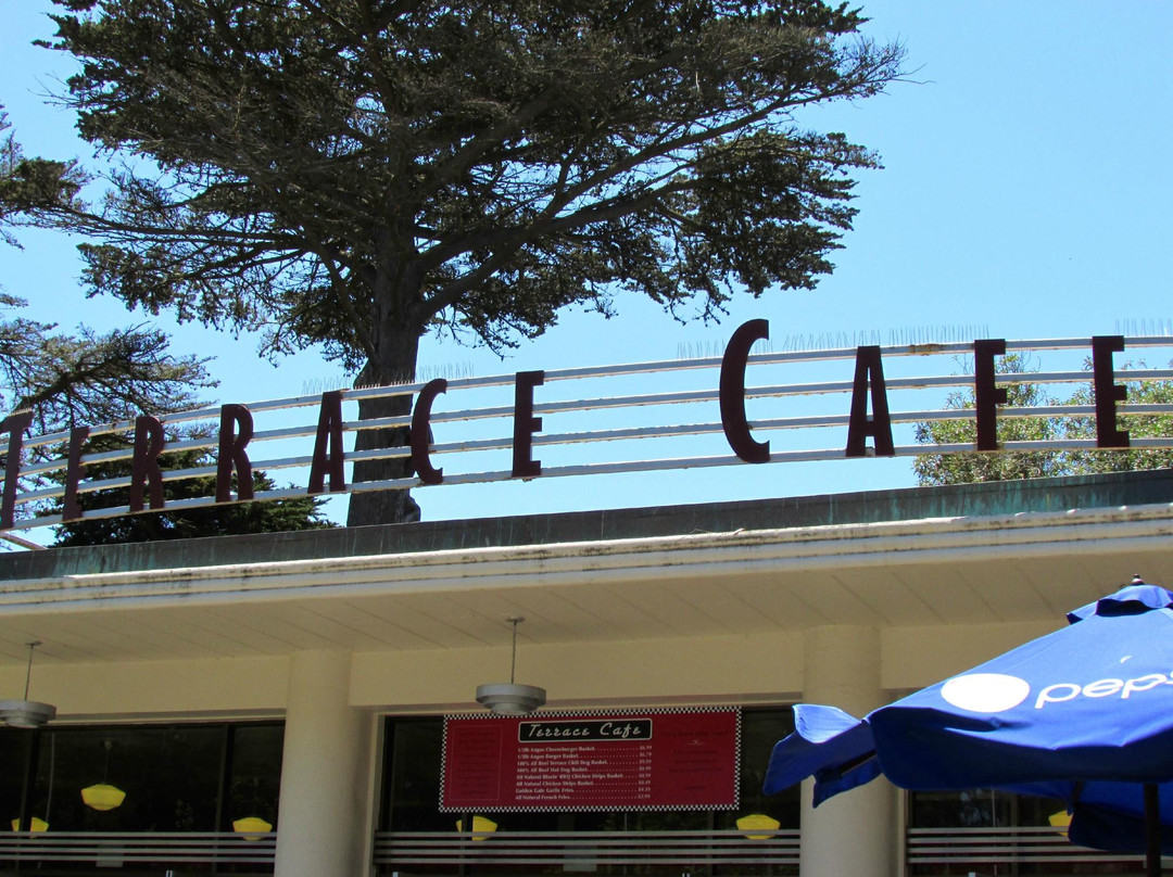 旧金山动物园-旧金山必去景点