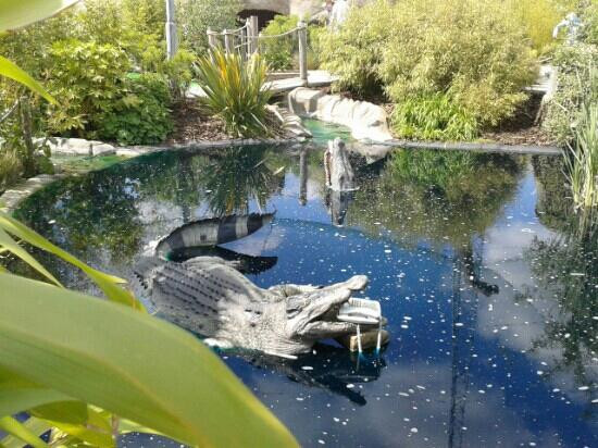 Jurassic Encounter Adventure Golf-新莫尔登必去景点
