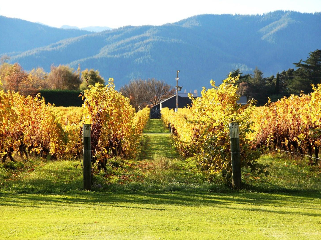 Marlborough Tours景点图片