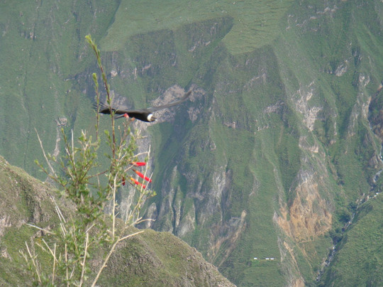 Peru Dream Travel-纳斯卡必去景点