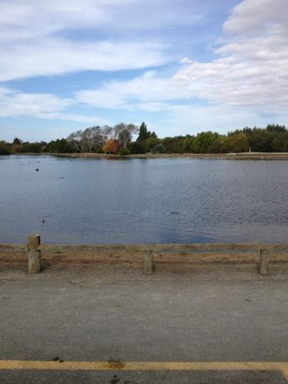 Henley Lake景点图片