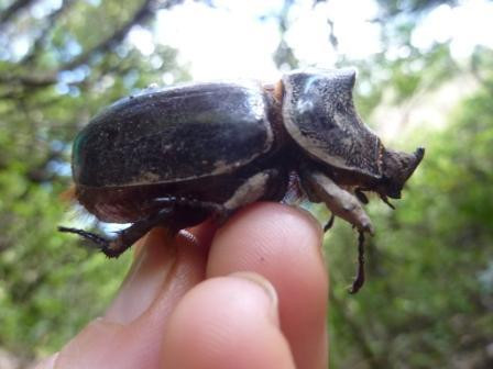 Scott's Adventure Tours-Vilcabamba必去景点