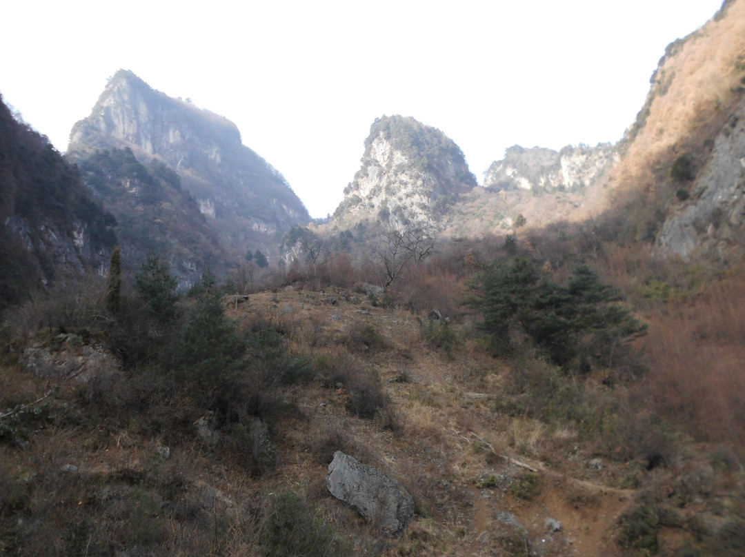 小陇山国家级自然保护区景点图片
