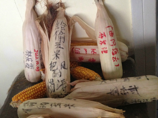 麦田国际青年旅舍主图