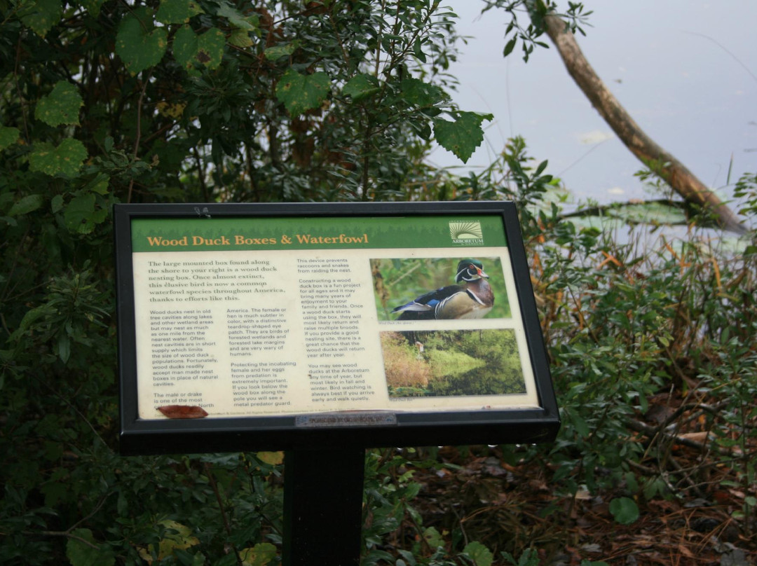 Jacksonville Arboreteum & Gardens-杰克逊维尔必去景点