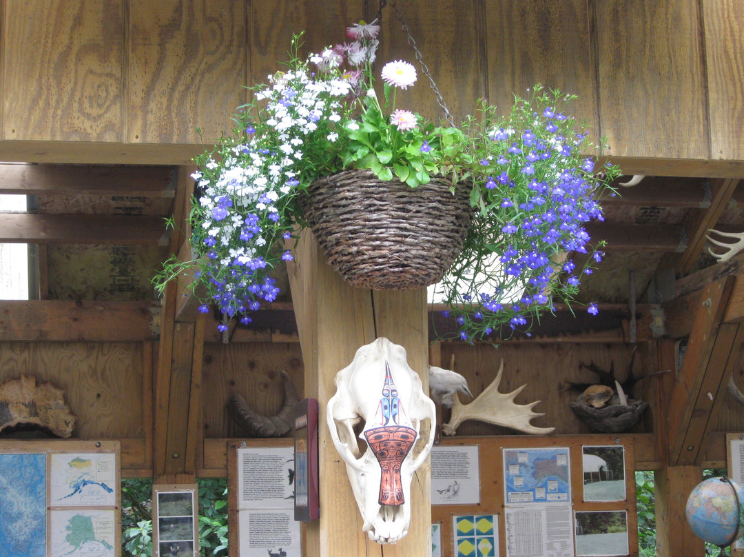 Juneau Rainforest Garden-朱诺必去景点