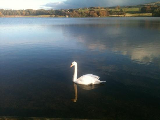 Talkin Tarn Park-卡莱尔必去景点