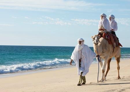Cabo Adventures-卡波圣卢卡斯必去景点