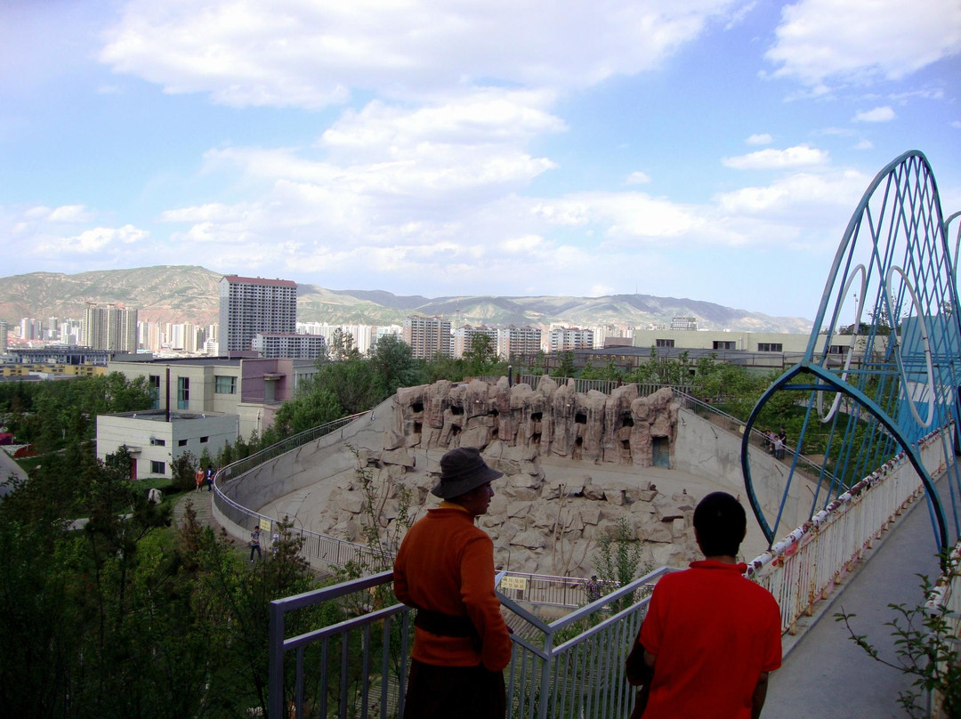 青藏高原野生动物园-西宁市必去景点