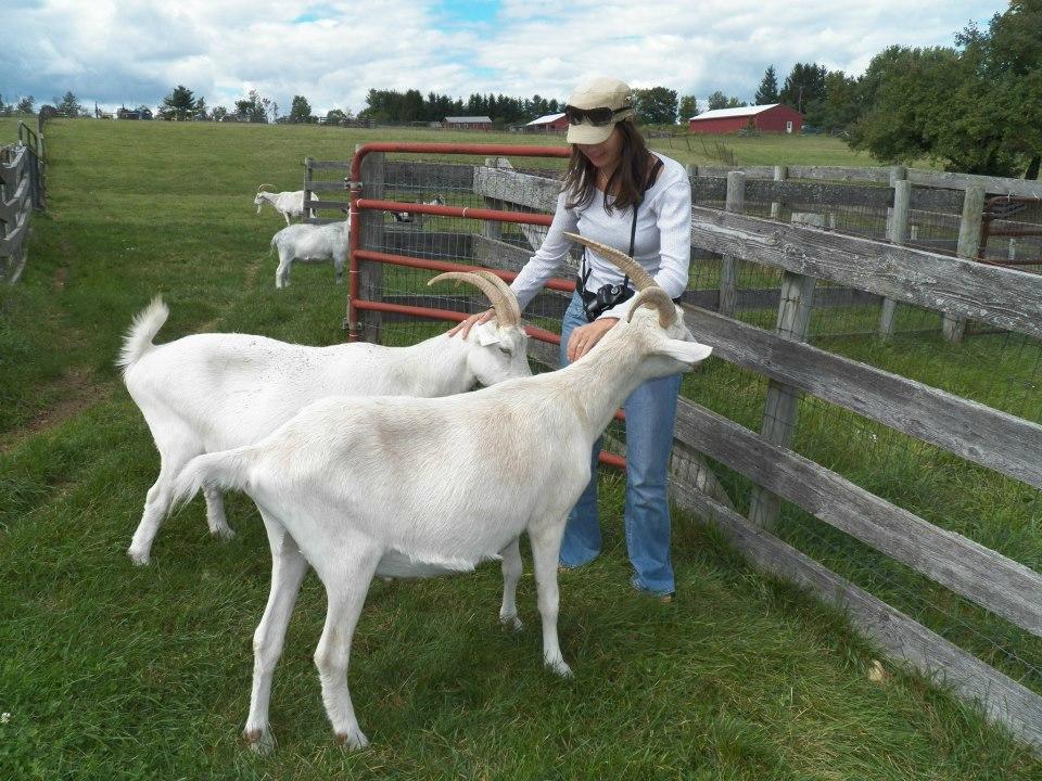 Farm Sanctuary-客卧