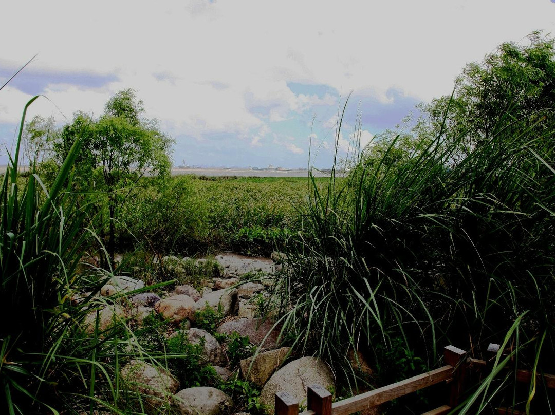 吴淞口炮台湾湿地森林公园-上海市必去景点