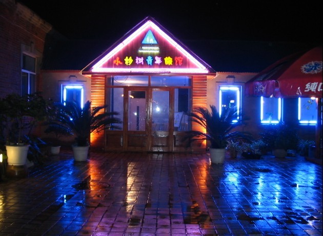 小杉树国际青年旅舍-官方