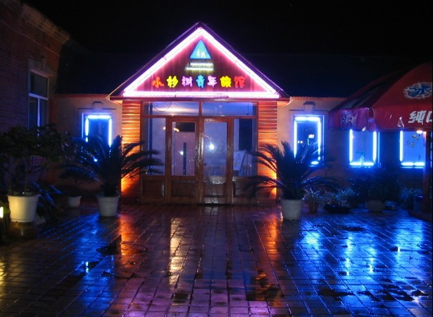 小杉树国际青年旅舍主图