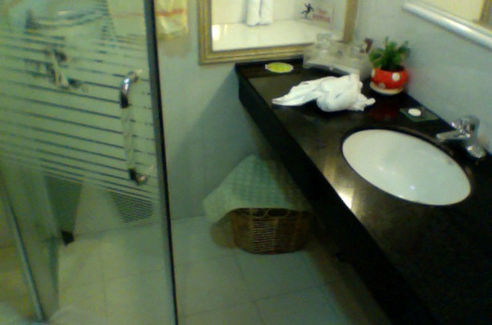 瑞贝卡大酒店（郑州二七广场店）主图